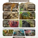 5 Satwa Ikonik Indonesia yang Terancam Punah: Kondisi Terbaru dan Ancaman Penyeldungan