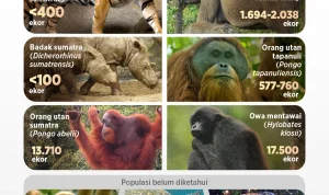 5 Satwa Ikonik Indonesia yang Terancam Punah: Kondisi Terbaru dan Ancaman Penyeldungan