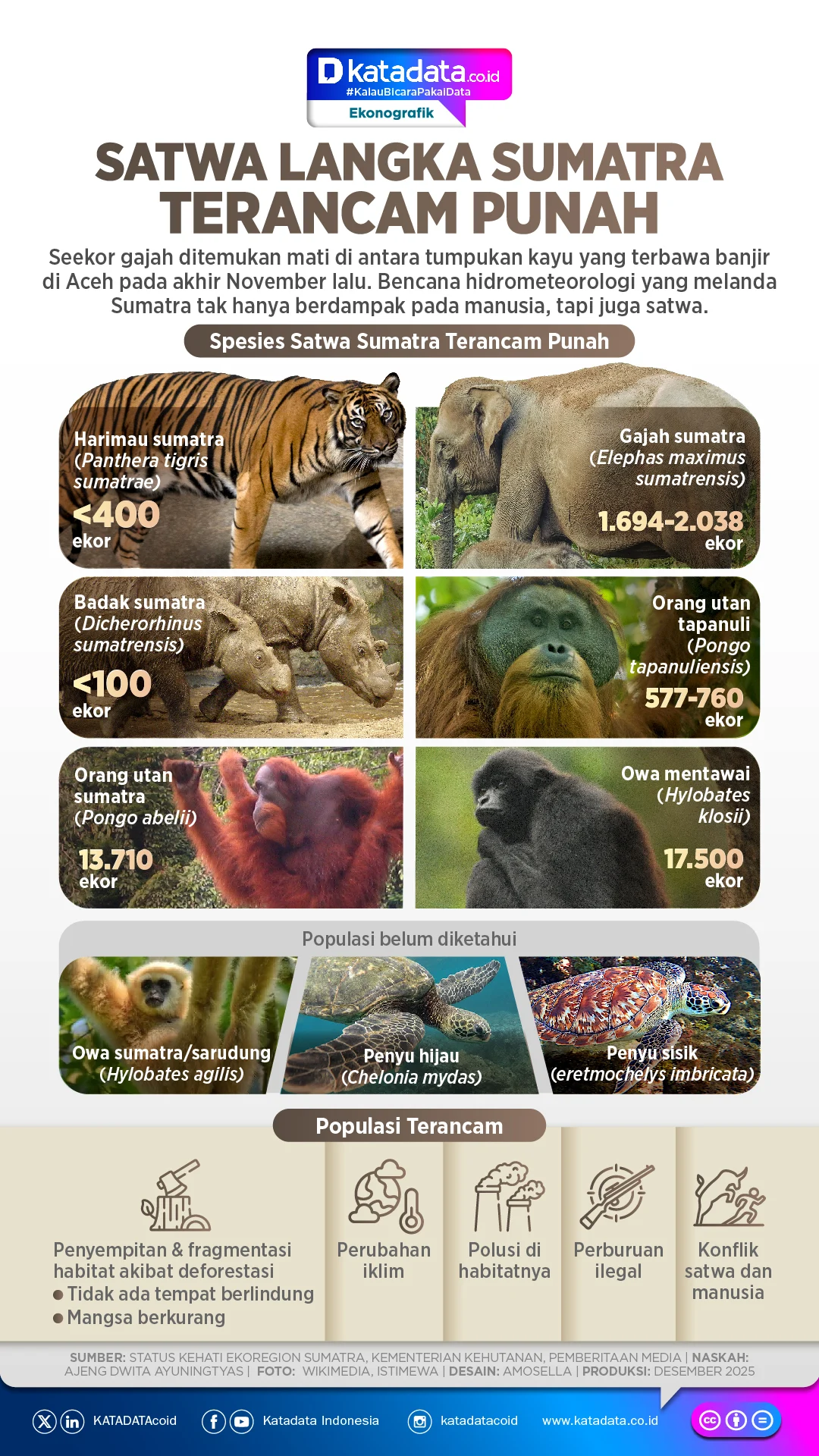 5 Satwa Ikonik Indonesia yang Terancam Punah: Kondisi Terbaru dan Ancaman Penyeldungan