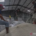 Akademisi & Mahasiswa Puji Pemerintah Capai Swasembada Pangan lewat Stok Beras Melimpah di Bulog Sidoarjo