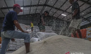 Akademisi & Mahasiswa Puji Pemerintah Capai Swasembada Pangan lewat Stok Beras Melimpah di Bulog Sidoarjo