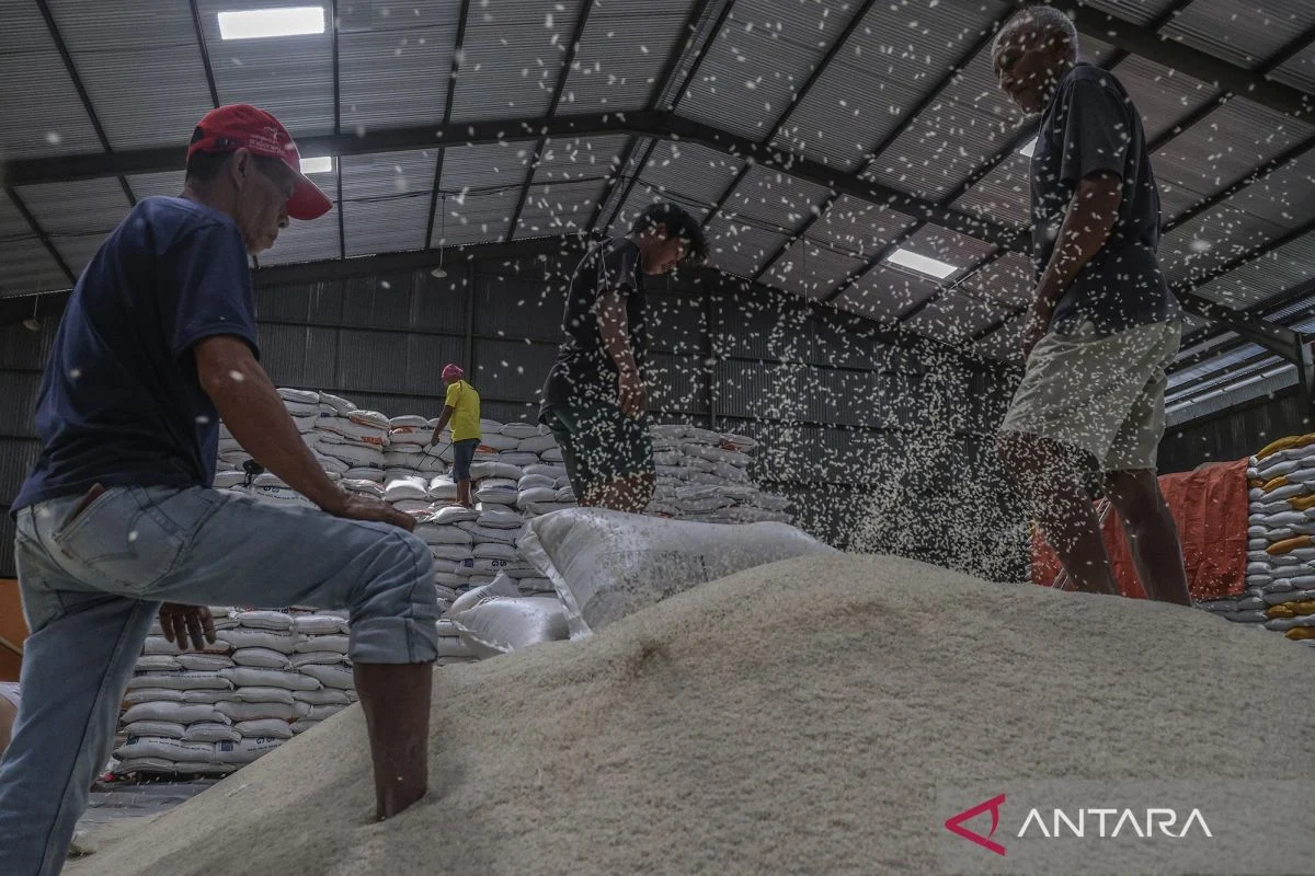 Akademisi & Mahasiswa Puji Pemerintah Capai Swasembada Pangan lewat Stok Beras Melimpah di Bulog Sidoarjo