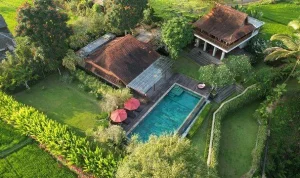 Bali di Persimpangan: Kolaborasi Musik, Larangan Sawah Jadi Villa, dan Sengketa KEK Kura Kura Mengguncang Pulau Dewata