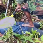 Batalion Kanibal OPM Klaim Bunuh 7 Intelijen Indonesia di Perbatasan Pegunungan Bintang-Yahukimo, Polisi dan TNI Gelar Operasi Besar
