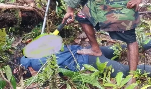 Batalion Kanibal OPM Klaim Bunuh 7 Intelijen Indonesia di Perbatasan Pegunungan Bintang-Yahukimo, Polisi dan TNI Gelar Operasi Besar