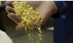 Cadangan Emas Kolokoa Gorontalo Bisa Capai 600 Ribu Ons, Potensi Besar bagi Industri Pertambangan Nasional