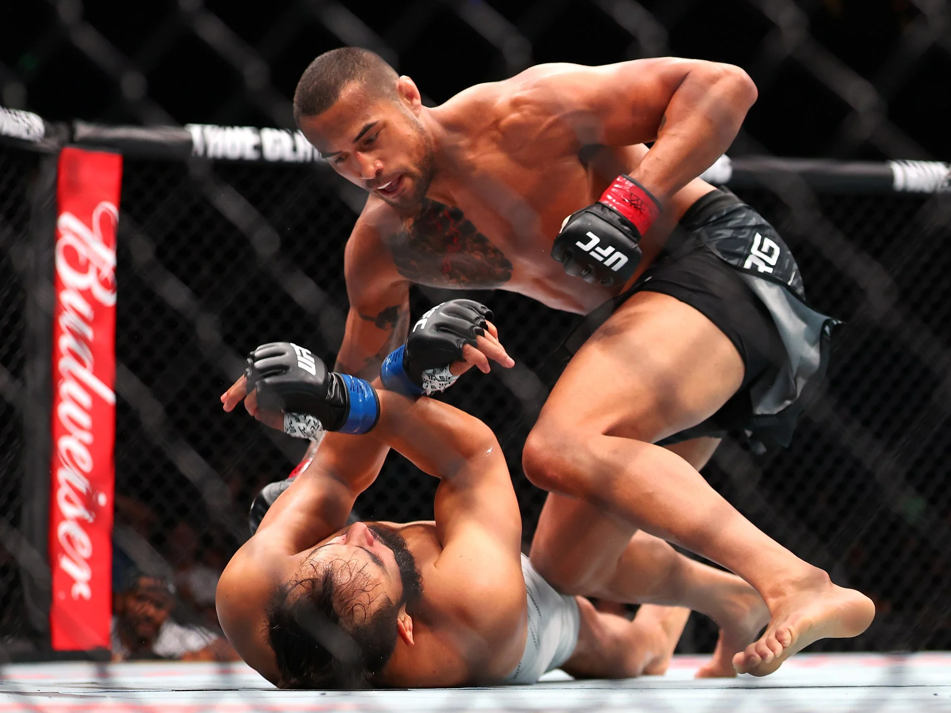 Carlos Ulberg Raih Gelar Light Heavyweight UFC 327 dengan KO Memukau di Miami