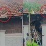 Drama Balita 2 Tahun Tergelincir ke Atap Rumah di Lombok, Penyelamatan Dramatis dalam Satu Jam