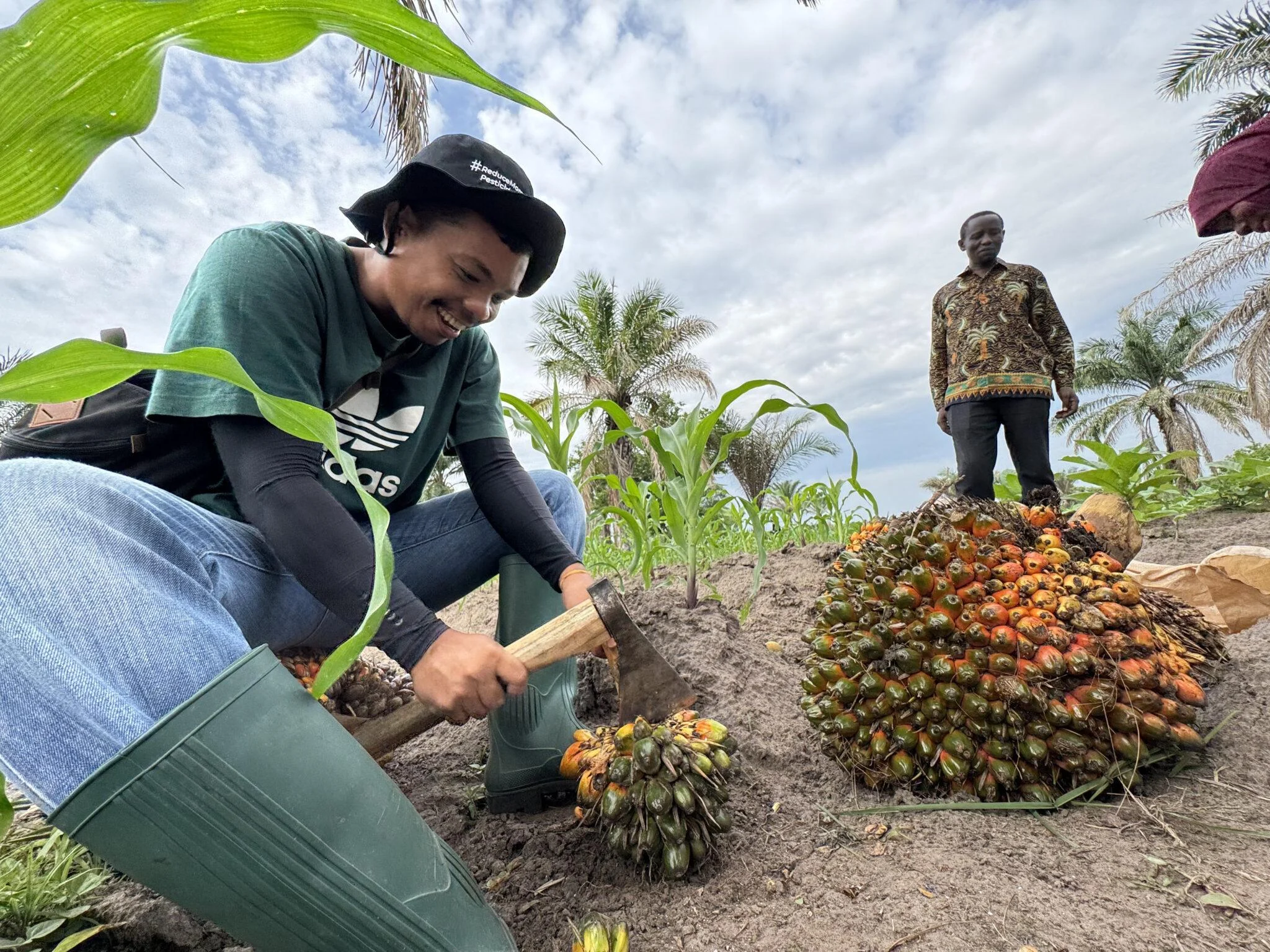 Indonesia Dorong Sertifikasi ISPO, Serangga Penyerbuk Tanzania, dan Limbah Sawit Jadi Pupuk: Revolusi Industri Kelapa Sawit 2026