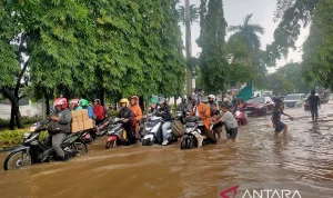 Kali Pesanggrahan Meluap, Jalan Cinere‑Pondok Cabe Terputus dan Pengendara Terancam Tenggelam