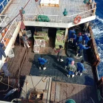 Kapal Dagang China Terdampar di Laut Arab, Tiga ABK Indonesia Selamat dalam Operasi Penyelamatan Pakistan