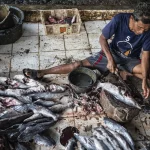 KDM Jadi Sorotan: Dari Polemik Politik Kalbar-Jabar hingga Kebangkitan Kuliner Tradisional