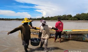 Ketua RW Kelapa Gading Dorong Warga Tangkap Ikan Sapu‑Sapu, Dapat Rp5.000 per Kg – Inisiatif Spontan yang Dukung Gubernur