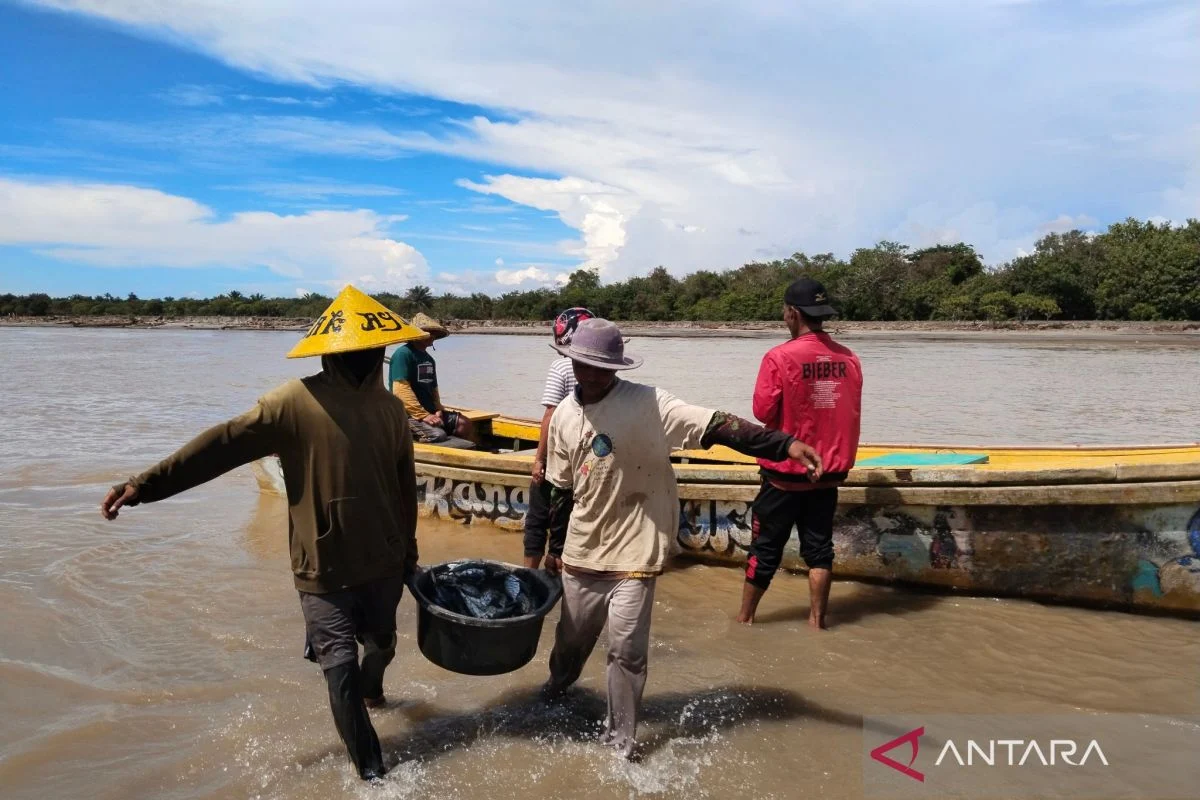 Ketua RW Kelapa Gading Dorong Warga Tangkap Ikan Sapu‑Sapu, Dapat Rp5.000 per Kg – Inisiatif Spontan yang Dukung Gubernur