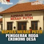 Kopdes Merah Putih: Kekuatan Baru yang Menggerakkan Ekonomi NTT