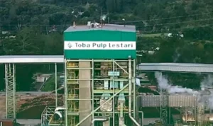 Krisis PHK Toba Pulp: 80% Karyawan Terancam Setelah Izin PBPH Dicabut