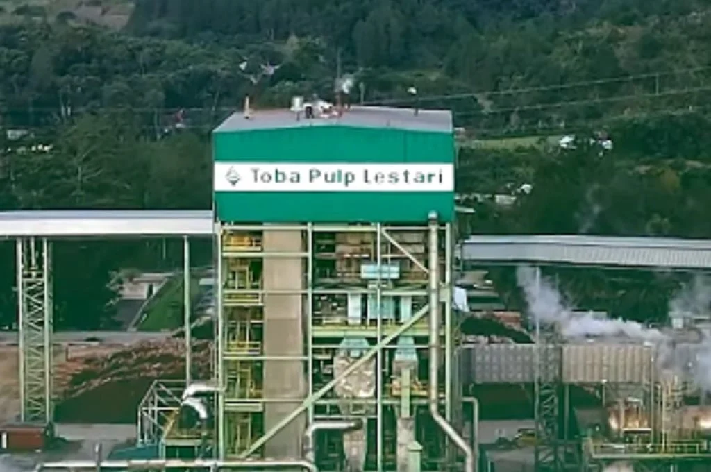 Krisis PHK Toba Pulp: 80% Karyawan Terancam Setelah Izin PBPH Dicabut