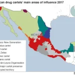 Mengejutkan! Penyintas Ungkap Lokasi Brutal Kartel Meksiko yang Digunakan untuk Memusnahkan Manusia
