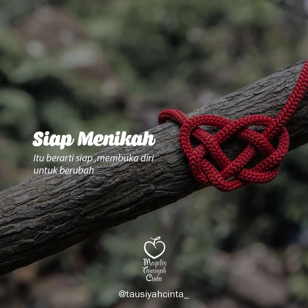 Mengungkap Rahasia: Ikatan Belahan Jiwa Lebih Penting dari Cinta