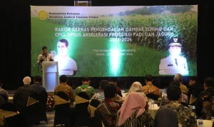 Menteri Pertanian Amran Siapkan Indonesia Hadapi El Nino, Pantau Harga Minyakita, Luncurkan B50 untuk Hentikan Impor Solar