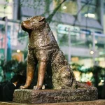 Patung Hachiko di Shibuya: Ikon Kesetiaan yang Terancam Overtourism