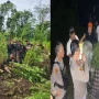Polisi Bongkar Ladang Ganja Empat Lawang Seluas 20 Ha, 220 Kg Disita – Operasi Besar Terungkap