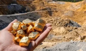 PTRO Papua Nugini Siapkan Langkah Besar: Investasi AUD 23,75 Juta di Tambang Emas Papua Nugini