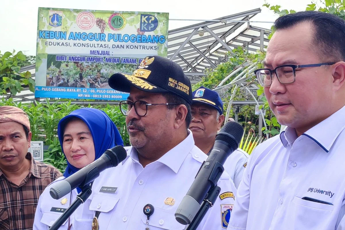 Rano Karno Ungkap Status Lahan Kemayoran yang Tertunda 35 Tahun, Pembangunan Terhambat