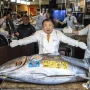Rekor Dunia Sushi Jepang: Tuna Termahal Seberat 243 kg Laku Rp55 Miliar di Lelang Toyosu