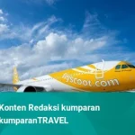 Scoot Tambah Rute ke Belitung dan Pontianak, Frekuensi Penerbangan Meroket Menjelang Liburan