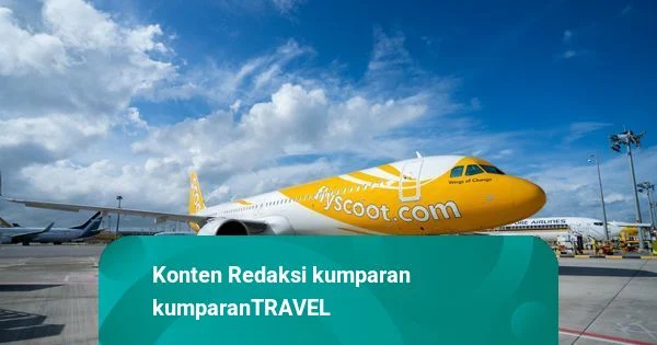 Scoot Tambah Rute ke Belitung dan Pontianak, Frekuensi Penerbangan Meroket Menjelang Liburan