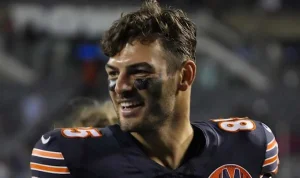 Terungkap! Apa Sebenarnya “TE”: Dari AI di TE Connectivity hingga Tight End Cole Kmet dan Revitalisasi Bahasa Asli