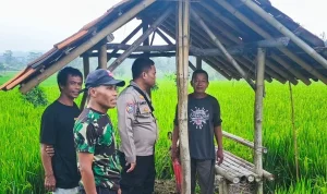 Tragedi ART Loncat Benhil: Dari Brebes dan Batang, Satu Tewas, Satu Patah Tangan