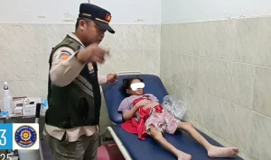 Tragedi Daycare Little Aresha: 53 Anak Disiksa, Anita Palupy Dipenjara, dan Dampak Nasional