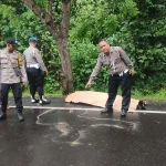 Tragedi Mengguncang Konawe Selatan: 3 Pelajar SMA Tewas dalam Kecelakaan Bus yang Mematikan