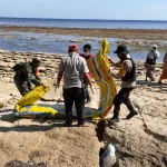 Warga Sumenep Geger! Benda Diduga Torpedo Terselubung di Pantai Kangean Memicu Kepanikan