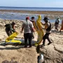 Warga Sumenep Geger! Benda Diduga Torpedo Terselubung di Pantai Kangean Memicu Kepanikan