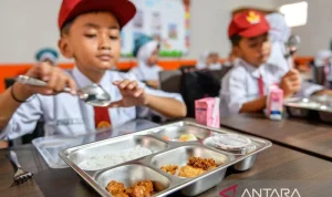 Badan Gizi Nasional Dalam Sorotan: Penipuan dan Pengawasan Program Makan Bergizi Gratis