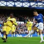 Crystal Palace Siap Tandingi Everton di Liga Premier
