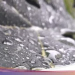 Cuaca Bandung Hari Ini: Hujan Ringan dan Suhu Sejuk