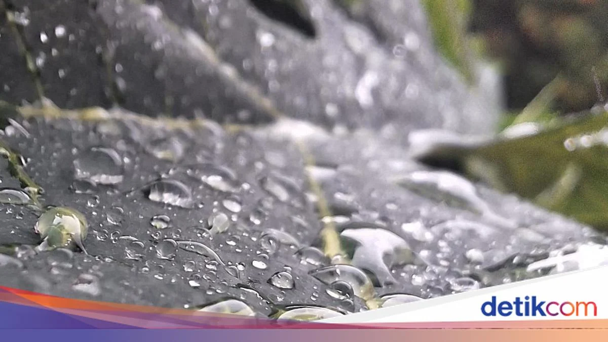 Cuaca Bandung Hari Ini: Hujan Ringan dan Suhu Sejuk