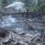 El Nino 2026 Mengancam: Ribuan Titik Api Terdeteksi di Sumatra, Bahaya Karhutla Meluas ke Kalimantan dan Jawa