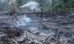 El Nino 2026 Mengancam: Ribuan Titik Api Terdeteksi di Sumatra, Bahaya Karhutla Meluas ke Kalimantan dan Jawa