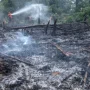 El Nino 2026 Mengancam: Ribuan Titik Api Terdeteksi di Sumatra, Bahaya Karhutla Meluas ke Kalimantan dan Jawa