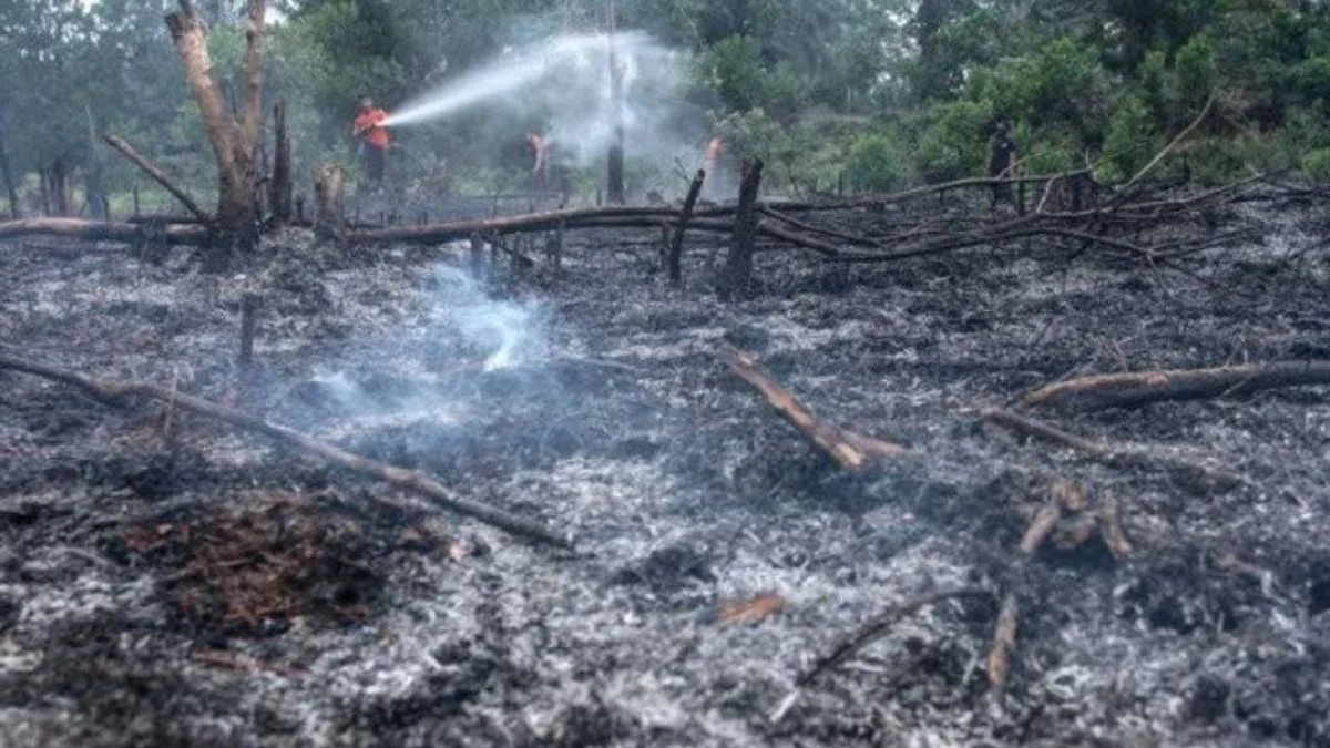 El Nino 2026 Mengancam: Ribuan Titik Api Terdeteksi di Sumatra, Bahaya Karhutla Meluas ke Kalimantan dan Jawa