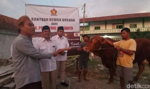 Gerindra: Bantuan Sapi Kurban Presiden dari APBN Sah Secara Hukum, Partai Gerindra Tomohon Bagikan Hewan Kurban