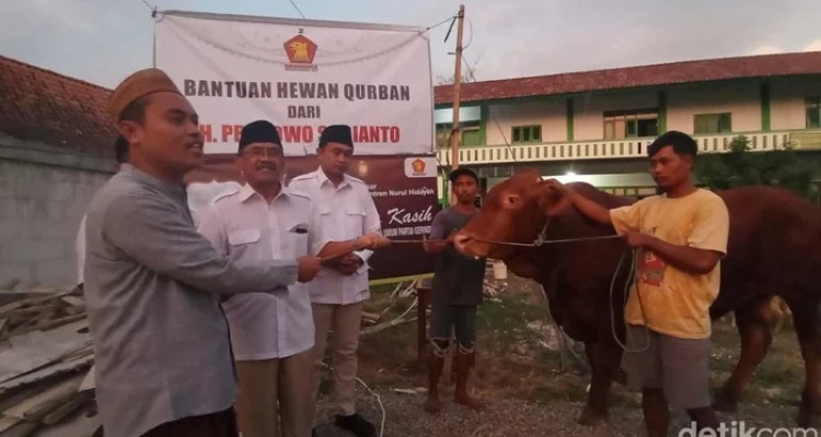 Gerindra: Bantuan Sapi Kurban Presiden dari APBN Sah Secara Hukum, Partai Gerindra Tomohon Bagikan Hewan Kurban