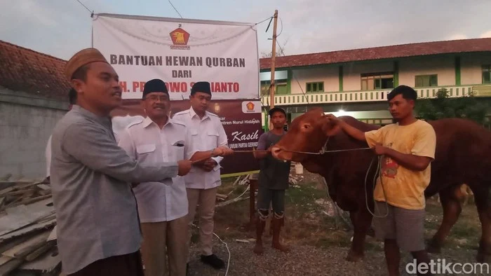 Gerindra: Bantuan Sapi Kurban Presiden dari APBN Sah Secara Hukum, Partai Gerindra Tomohon Bagikan Hewan Kurban