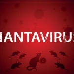 Hantavirus Mewabah di Seluruh Dunia: Apa yang Diketahui dan Bagaimana Menghadapinya?