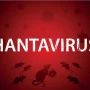 Hantavirus Mewabah di Seluruh Dunia: Apa yang Diketahui dan Bagaimana Menghadapinya?